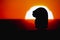 Silhouette Chess pieces knights isolated on sunrise background. Confrontation of chess pieces knights head with space for copy