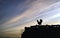 Silhouette of a chicken standing on the roof