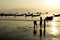 Silhouette child plaing on sunset beach kho tao island thailand