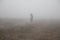 Silhouette of a child standing in the foggy field. covered in mist