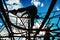 Silhouette of children playing in a park, climbing on some ropes living adventures