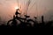 Silhouette of children`s bikes.