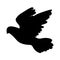 Silhouette christian dove. Christmas pigeon symbol