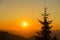 Silhouette of a Christmas tree at dawn against the background of Carpathian mountains in summer. Ukraine