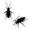 Silhouette of cockroach. Icon of insect. Vector illustration.