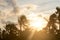 Silhouette coconut palm tree by dark back Lit skylight sun sunlight sunset. Dramatic atmospheric mood background. Dusk to night