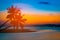 Silhouette coconut palm trees on beach at sunset.