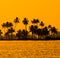Silhouette of coconut palm trees at golden tropic sunset