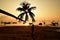 Silhouette Coconut tree fishing boat in ocean and sunset beach kho tao island thailand