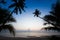 Silhouette of coconut tree slope down to the beach on sunrise ba