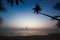 Silhouette of coconut tree slope down to the beach on sunrise ba