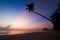 Silhouette of coconut tree slope down to the beach on sunrise background, Chumporn province