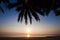 Silhouette of coconut tree slope down to the beach on sunrise background, Chumporn province