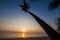 Silhouette of coconut tree slope down to the beach on sunrise background, Chumporn province