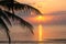 Silhouette coconut tree on sunrise, Calm sea