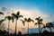 Silhouette coconut trees.