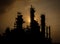 Silhouette column tower in petrochemical plant