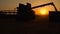 Silhouette of combine harvester pours out wheat into the truck at sunset. Harvesting grain field, crop season.