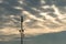 Silhouette Communication tower with cloudy sky