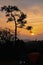 Silhouette concept of Sunset View Point at Phu Ruea National Park, Loei, Thailand