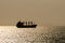 Silhouette of container ship sails along the trade route in the evening before sunset