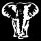 The silhouette, a contour of an elephant of white color on a black background is drawn with different width lines. Logo elephant