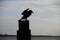 Silhouette of cormorant on piling