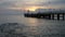 Silhouette of a couple against the sea and flying seagulls