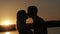 Silhouette couple kissing over sunset background
