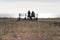 Silhouette of a couple sitting on the bench near the ocean