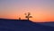 Silhouette of couple under big tree in sunset at Lake Baikal, Olkhon island, Siberia in Russia. Winter time. Love concept