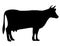 Silhouette of a cow. Cattle. Circuit. Farm. Bull. Black and white drawing by hand.