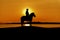 Silhouette cowboy on horseback