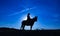 Silhouette cowgirl on horse at sunrise in blue 3