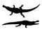 Silhouette of a Crocodile