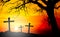 Silhouette of cross of Jesus Christ with big tree on backlight a