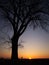 Silhouette of a cross under big tree at sunset