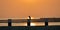 Silhouette crow bird sitting on the river bridge at sunrise