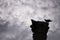 Silhouette crow on a column.