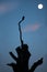 Silhouette of a crow perched on a tree at night