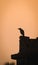 Silhouette of a crow sitting on a corner of a rooftop at dusk.