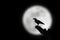 Silhouette of a crow standing on a branch in full moon night