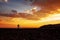 Silhouette of cycling man on bike on beautiful sunset background