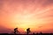 Silhouette of cyclists ride bicycle on sunset background.