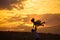 Silhouette of dad throws daughter at sunset.