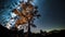 Silhouette_of_Daed_trees_and_Milky_Way_at_1690599538145_1