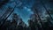Silhouette_of_Daed_trees_and_Milky_Way_at_1690599538145_2