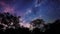 Silhouette_of_Daed_trees_and_Milky_Way_at_1690599538145_3
