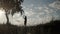 Silhouette of dancing model in grass