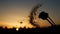 The silhouette of a dandelion puff against the setting sun, seeds poised for flight in the gentle breeze